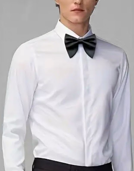 Big/Butterfly Bow Tie